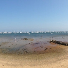 Bubala's by the Bay