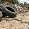 Blythewood Wildlife Removal, Columbia SC gallery