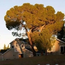 Fremont Hills Country Club - Los Altos Hills
