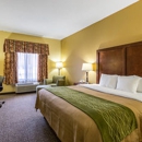 Comfort Inn Brownsville I-40 - Motels
