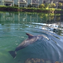 Dolphin Quest Oahu - Tourist Information & Attractions