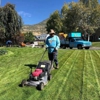 Lawn Thumbs gallery