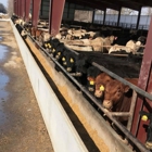 Profectus Livestock Solutions