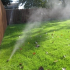 Knockout Landscaping