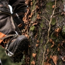 LumberJerks tree service - Tree Service