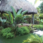 IslandRoots LandScape & Tree Service