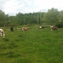 Lowery Family Farms - Cheese
