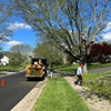 Taperia Tree Service gallery