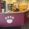 Paws Inn Animal Hospital LLC gallery