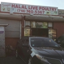 Springfield Halal Live Poultry - Poultry