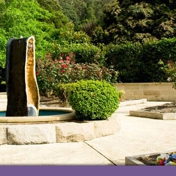 Gallery Image Number 2