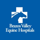 Brazos Valley Equine Hospital - Waco - Veterinarians