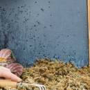 Page Exterminating Services - Pest Control Equipment & Supplies