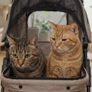 Pet Care While U R Away