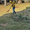One With Nature Tree service gallery