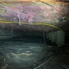 James River Pest Solutions gallery