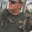 County Wildlife Control Inc - Animal Removal Services