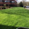 All Turf - Main Office gallery
