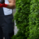 Bear Creek Tree Service - Tree Service