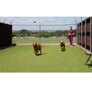 Windmill Veterinary Center - Pet Grooming