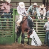 Shoshone Lodge & Guest Ranch gallery