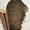Long Island Mold Removal Pros gallery