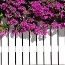 Yoder's Vinyl Fencing - Vinyl Fences