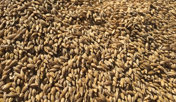 Silo Bag Grain - Gilgandra, NSW