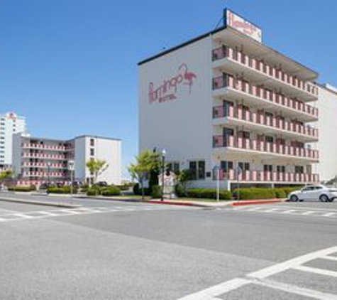 Flamingo Motel - Ocean City, MD
