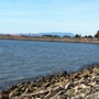 San Leandro Dog Park