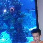 Dillon's KC BBQ at Wildlife World Zoo