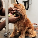 Bowie Barker Lincoln Park - Pet Grooming