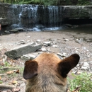 Nerstrand Woods State Park - State Parks