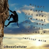 Best Cellular gallery