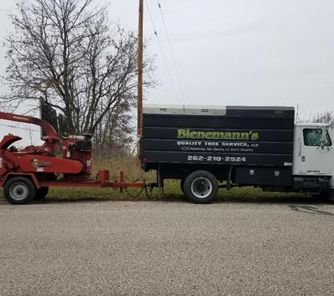 Bienemann's Quality Tree Service LLC - Burlington, WI