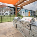 Crestwood Green Apartments - Apartments