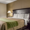 Comfort Inn Medford-Long Island gallery