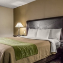 Comfort Inn Medford-Long Island - Motels