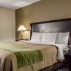 Comfort Inn Medford-Long Island