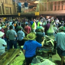 Buddy Barton Auctions