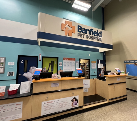 Banfield Pet Hospital - Fairfax, VA