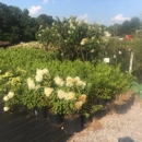 Tranquility Gardens