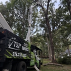 TSR Tree Service