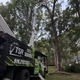 TSR Tree Service