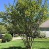 Blue Mountain Landscaping gallery