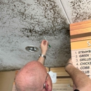 Neptune Mold Solutions - Mold Remediation