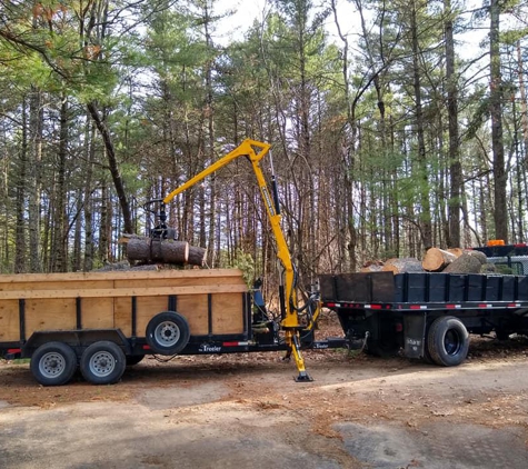 Eskildsen's Tree Service & Property Maintenance - Arkdale, WI