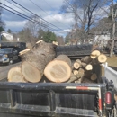 NXT Landscaping & Tree Service - Landscape Designers & Consultants