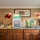 Quality Inn & Suites-Escondido - Motels