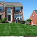 Diamond Lawn Service - Lawn Maintenance